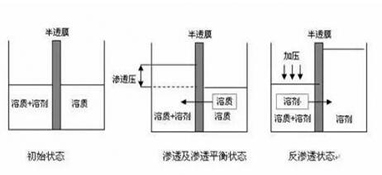 ro膜是什么？為什么說它是凈水器的靈魂？