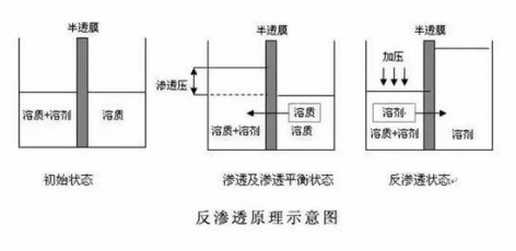 ro膜是什么？為什么說它是凈水器的靈魂？  hot