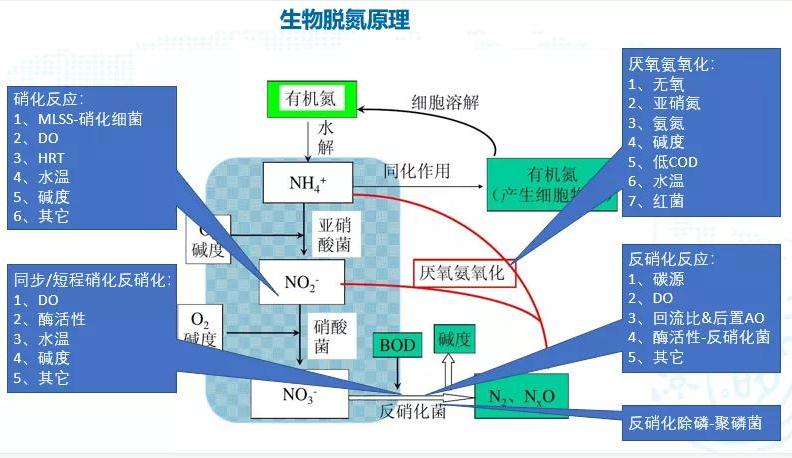 碳中和趨勢下污水處理節(jié)能降耗技術需求解讀